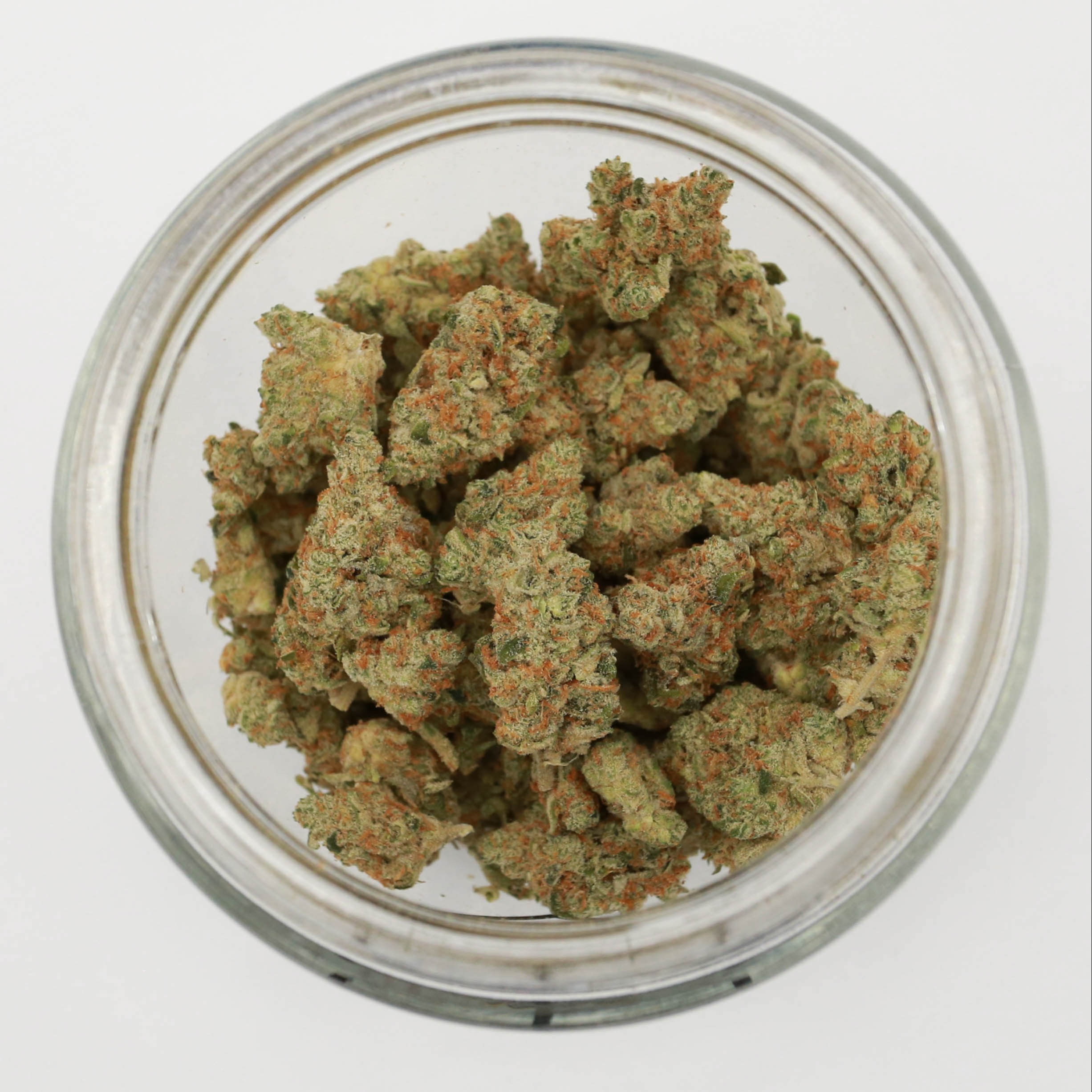 Quantum Kush #4 by Fidus Family Farms